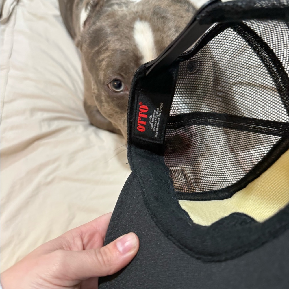 OTTO Black Mesh Trucker Cap with Light Interior - Picture 2 of 2